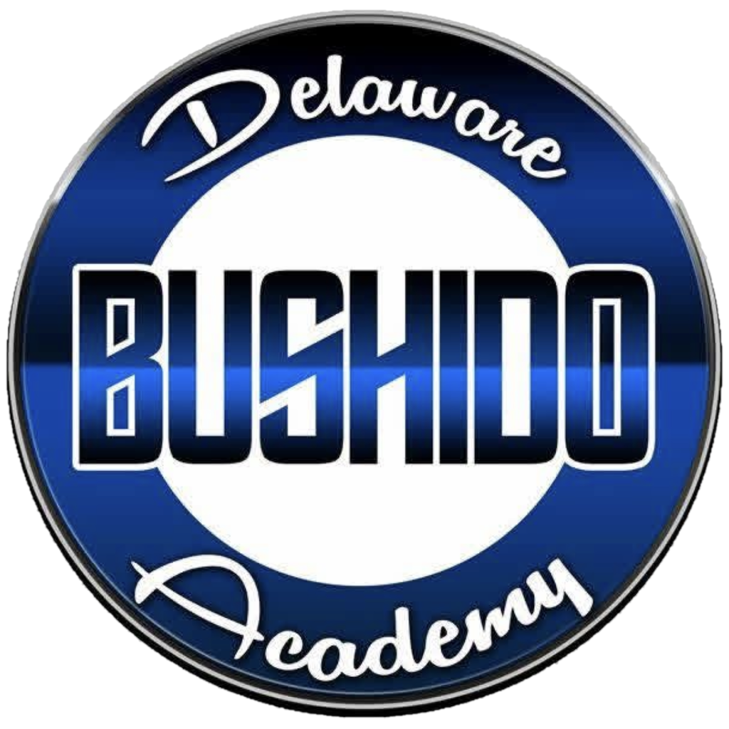 Delaware Bushido Academy